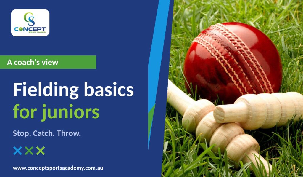 Cricket ball resting in the grass, ready for fielding practice at Concept Sports Academy